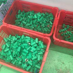 WhatsApp Image 2021-08-01 at 18.17.55